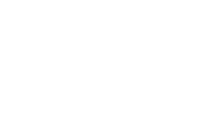 Petrojet