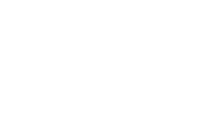 SIMEM